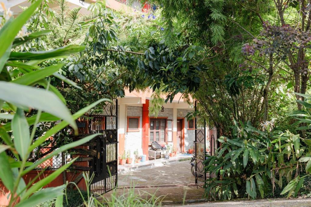Green Hills Yoga Retreat بوكْرا المظهر الخارجي الصورة